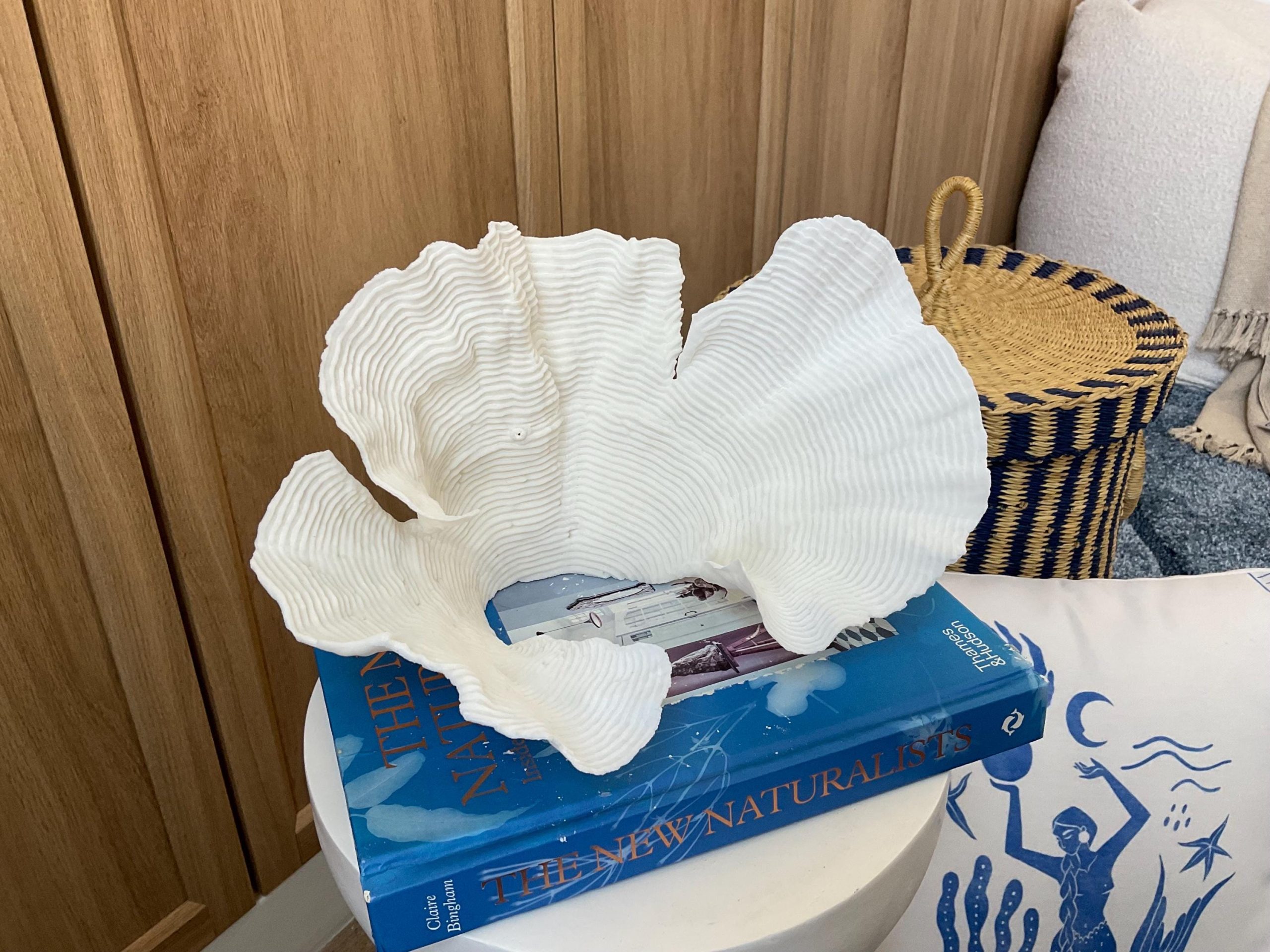 Cup Rugosa Coral Fossil Specimen: 11” x 6” x 7” Coastal Beach House Décor - Image 6