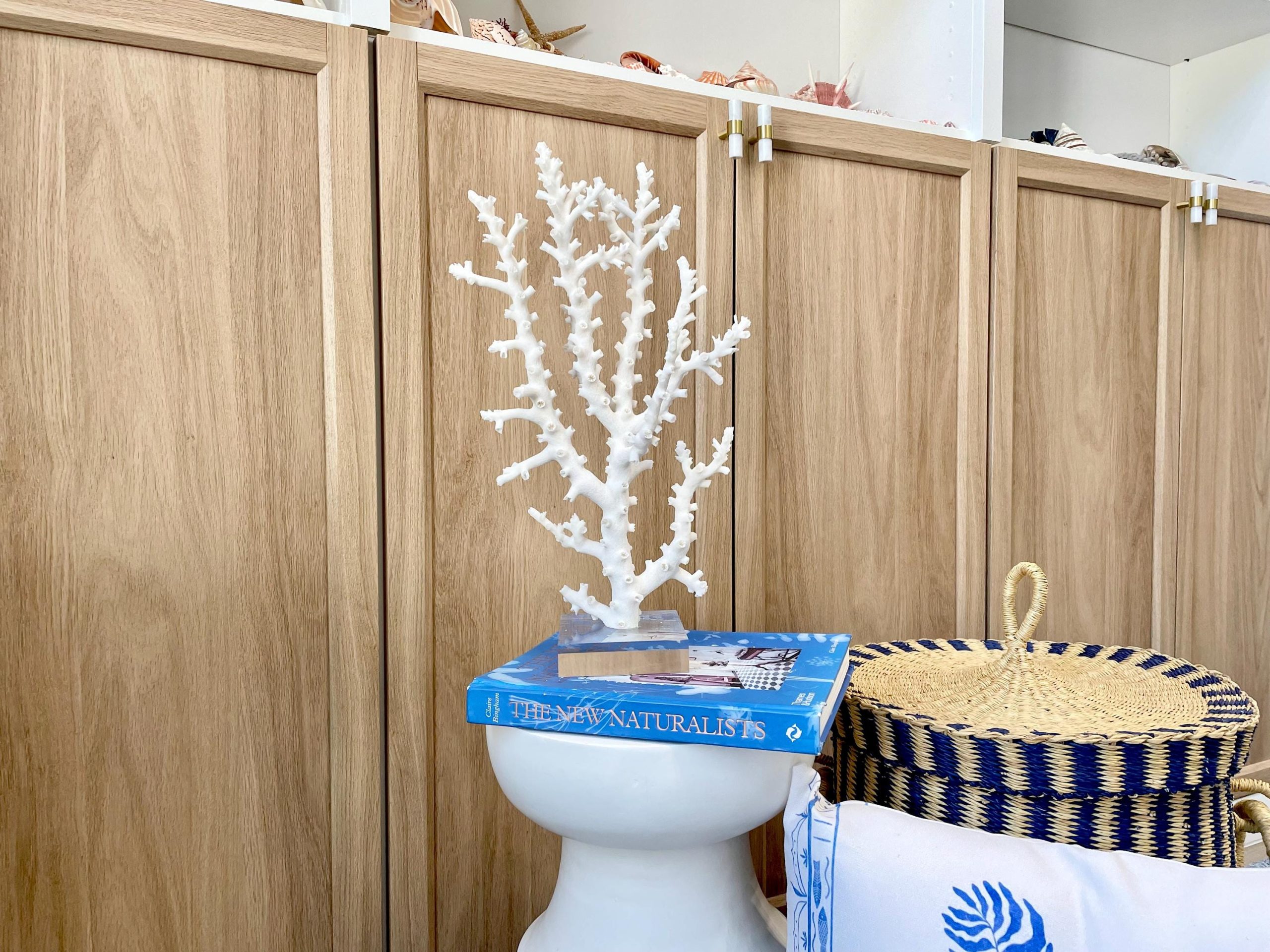 Mounted Octopus Coral Natural Fossil: 16"x9.5"x7" Coastal Beach Home Décor - Image 5