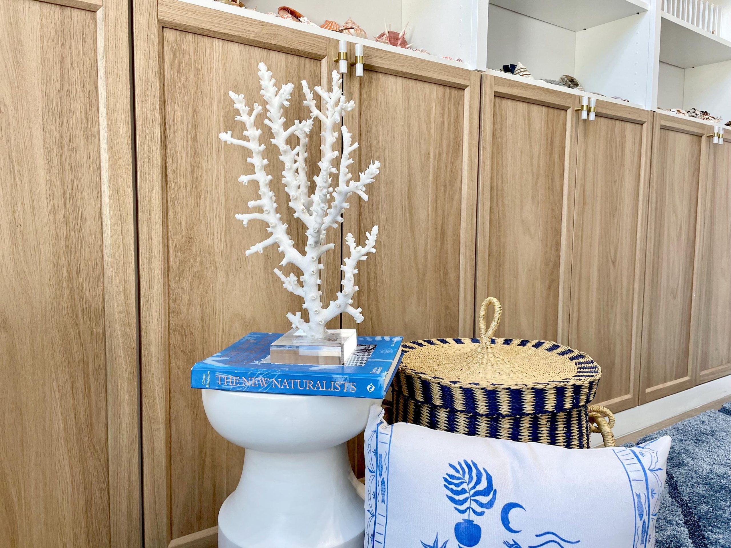 Mounted Octopus Coral Natural Fossil: 16"x9.5"x7" Coastal Beach Home Décor - Image 6