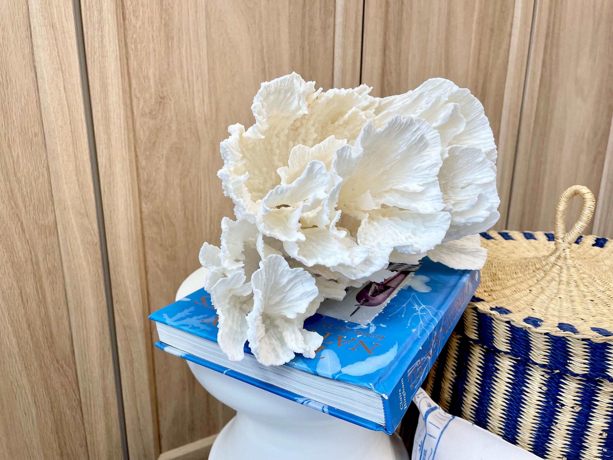 Natural Poca Coral Fossil: 12.25" x 7.5" x 6.5" Coastal Beach House White Décor - Image 6