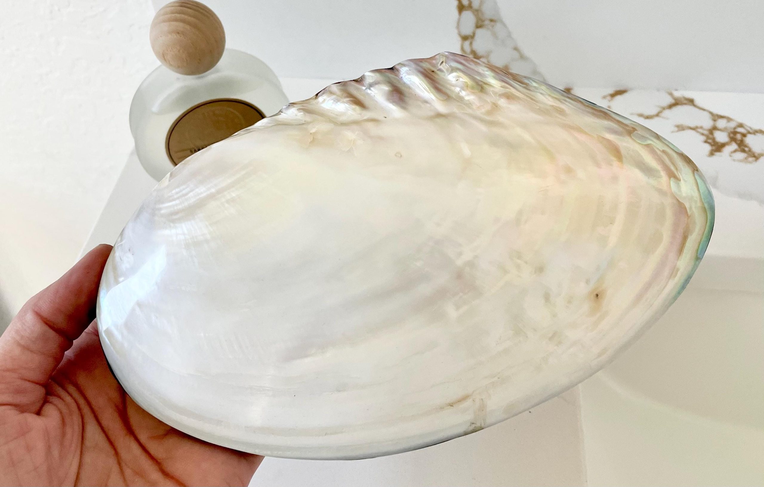 Handmade 8" Mussel Shell Jewelry Gift Box Iridescent Mother of Pearl Coastal Décor - Image 6