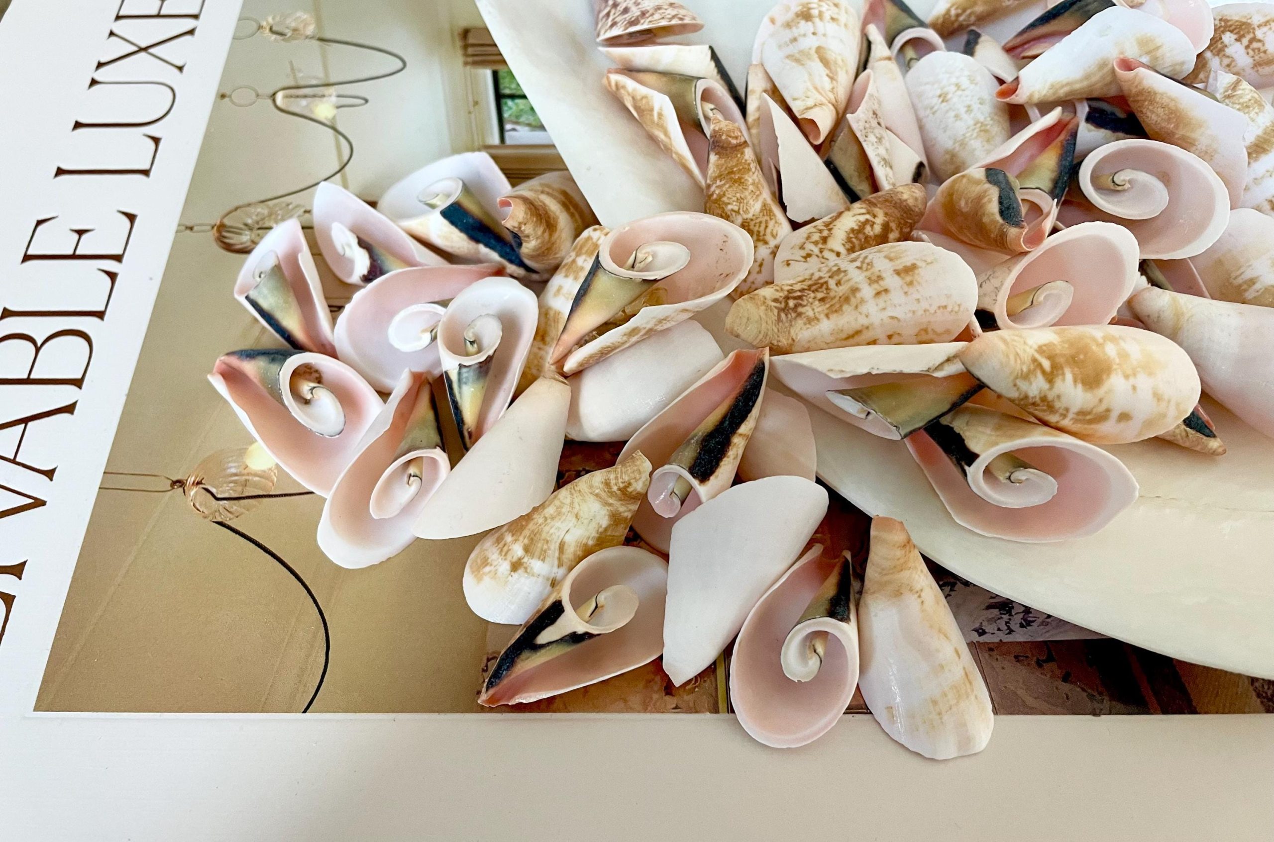 PINK LILY CUT Shells 1.25"-1.75" Long *You Choose Quantity* Slices Craft Seashells - Image 10
